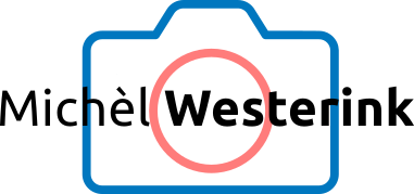 logo of Michel